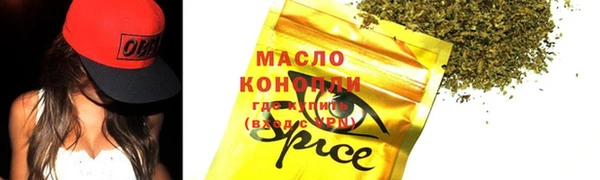 шишки Переславль-Залесский