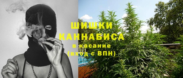 шишки Переславль-Залесский