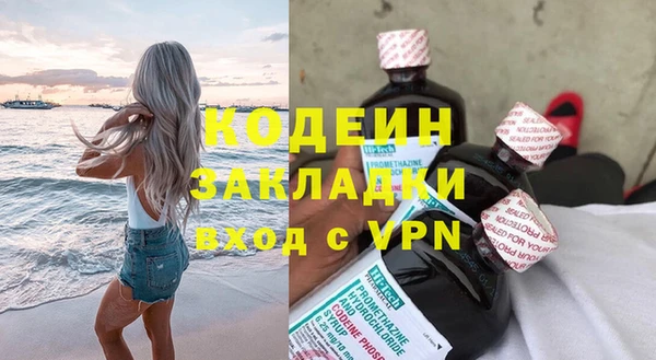 шишки Переславль-Залесский