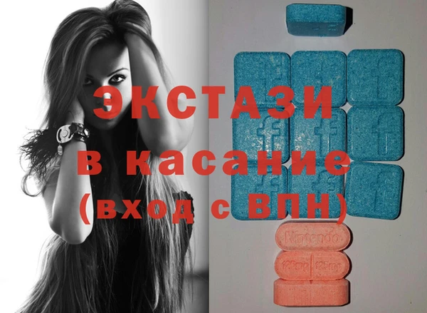 ECSTASY Богородицк