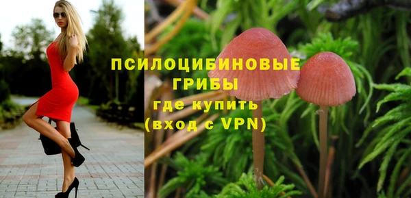 шишки Переславль-Залесский
