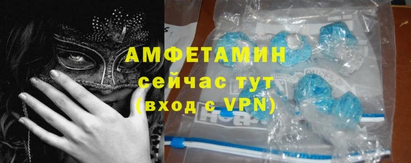 шишки Переславль-Залесский