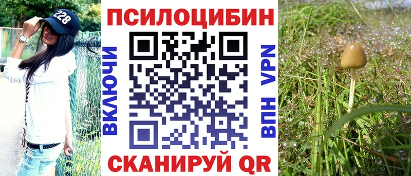 Галлюциногенные грибы Psilocybine cubensis  Соликамск 
